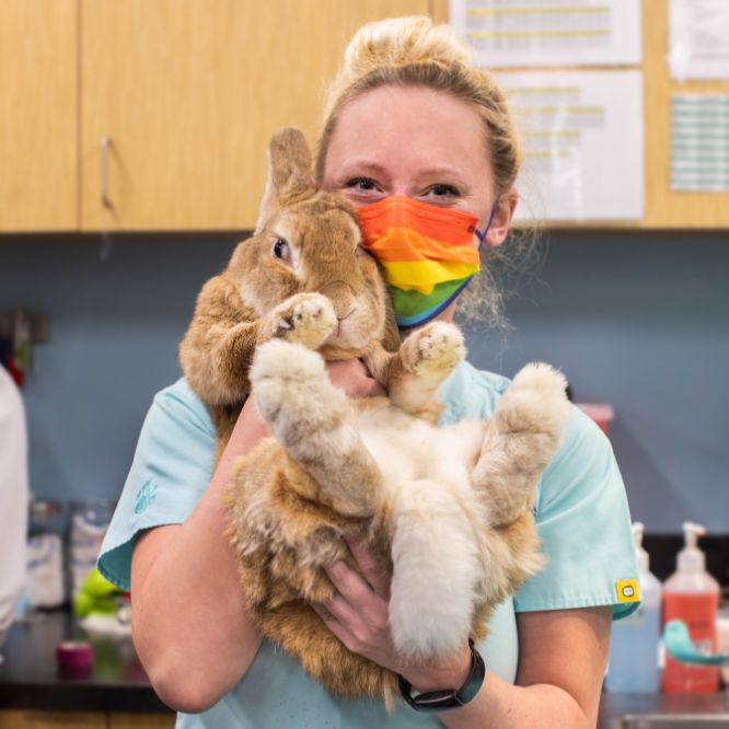 Lindsey with rabbit